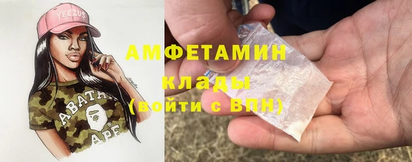 прущие грибы Алексин