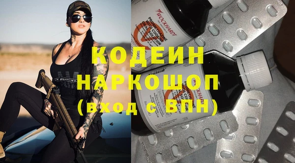 прущие грибы Абинск