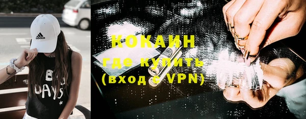 прущие грибы Абинск