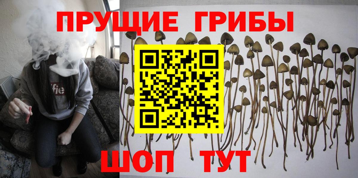 Галлюциногенные грибы ЛСД  Галлюциногенные грибы Cubensis  Норильск  Вход с VPN 