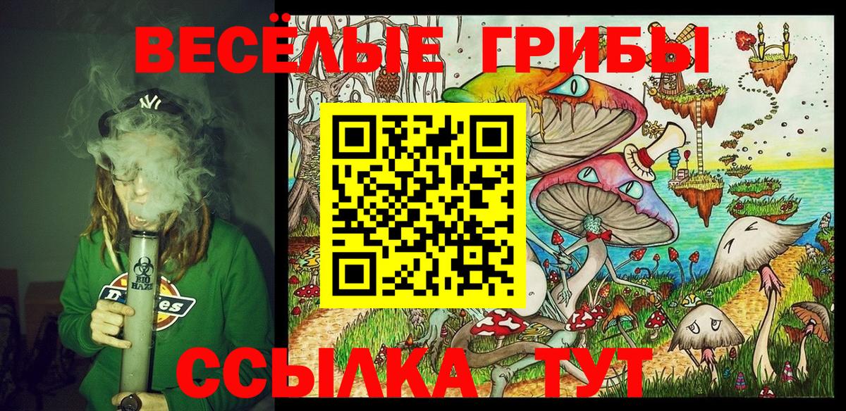 Галлюциногенные грибы Psilocybine cubensis Норильск